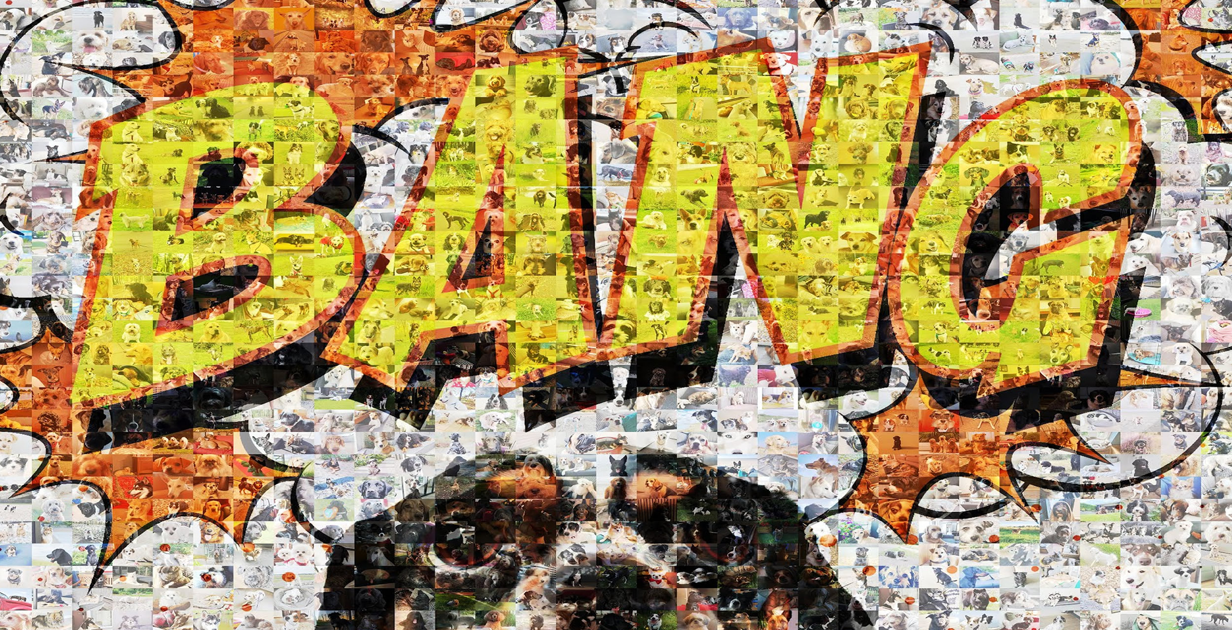 Vuurwerk tijdens de jaarwisseling met aandacht voor veiligheid van mens en dier