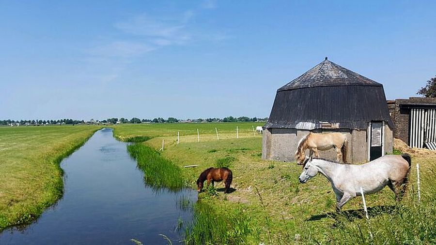 Inloopdagen voor inwoners Wognum en Nibbixwoud, meepraten over toekomst beide kernen