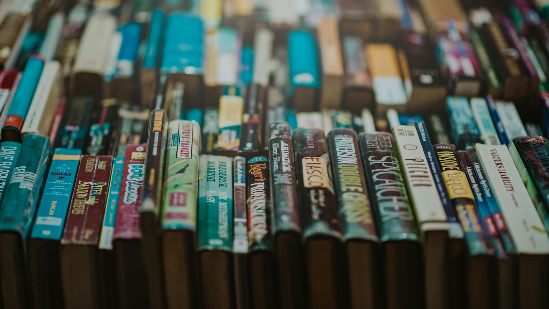 assorted title novel book photo