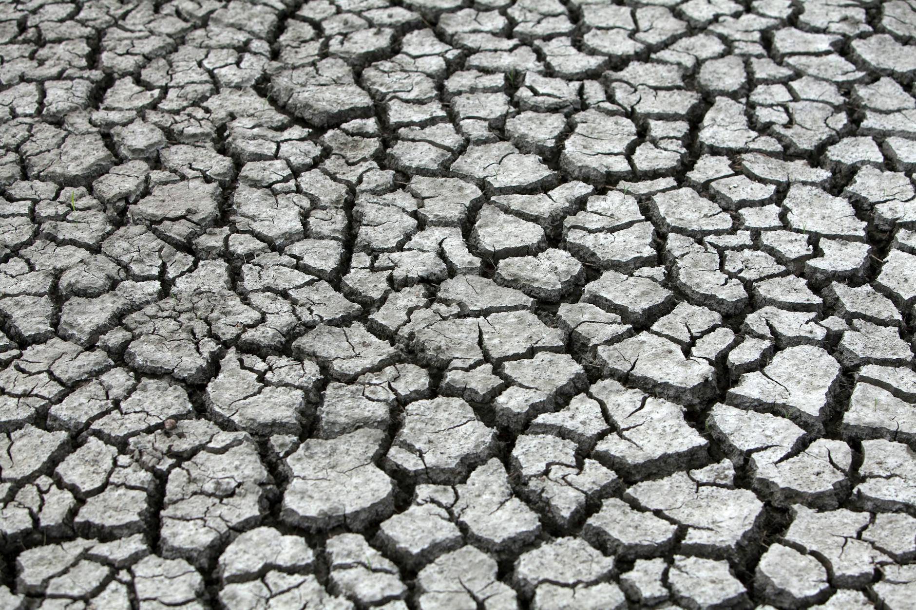cracks on the dried land