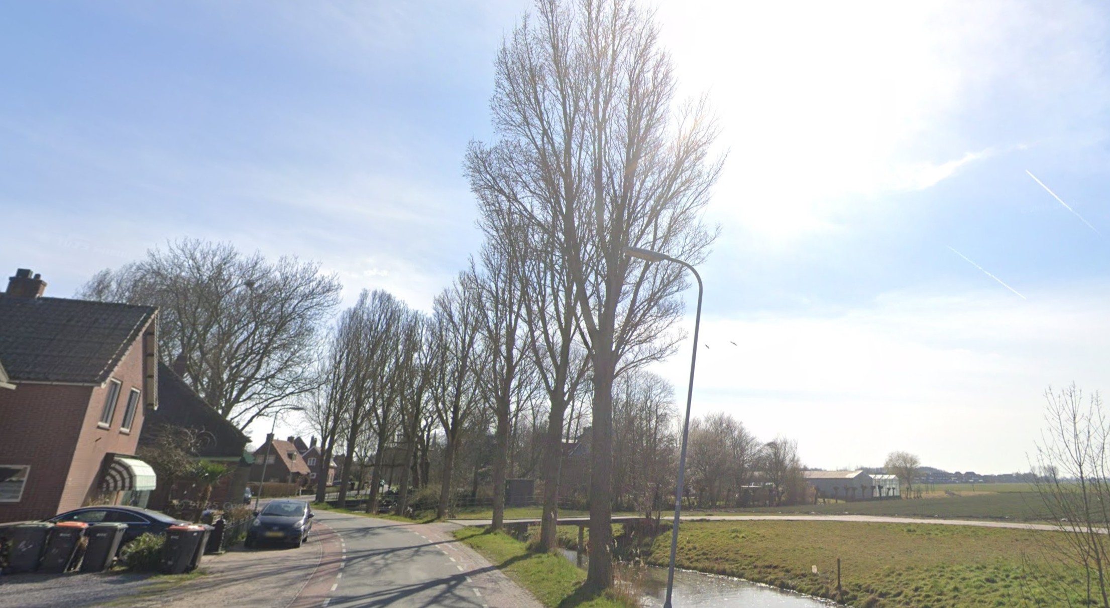 Zieke en verzwakte bomen die worden gekapt in Abbekerk