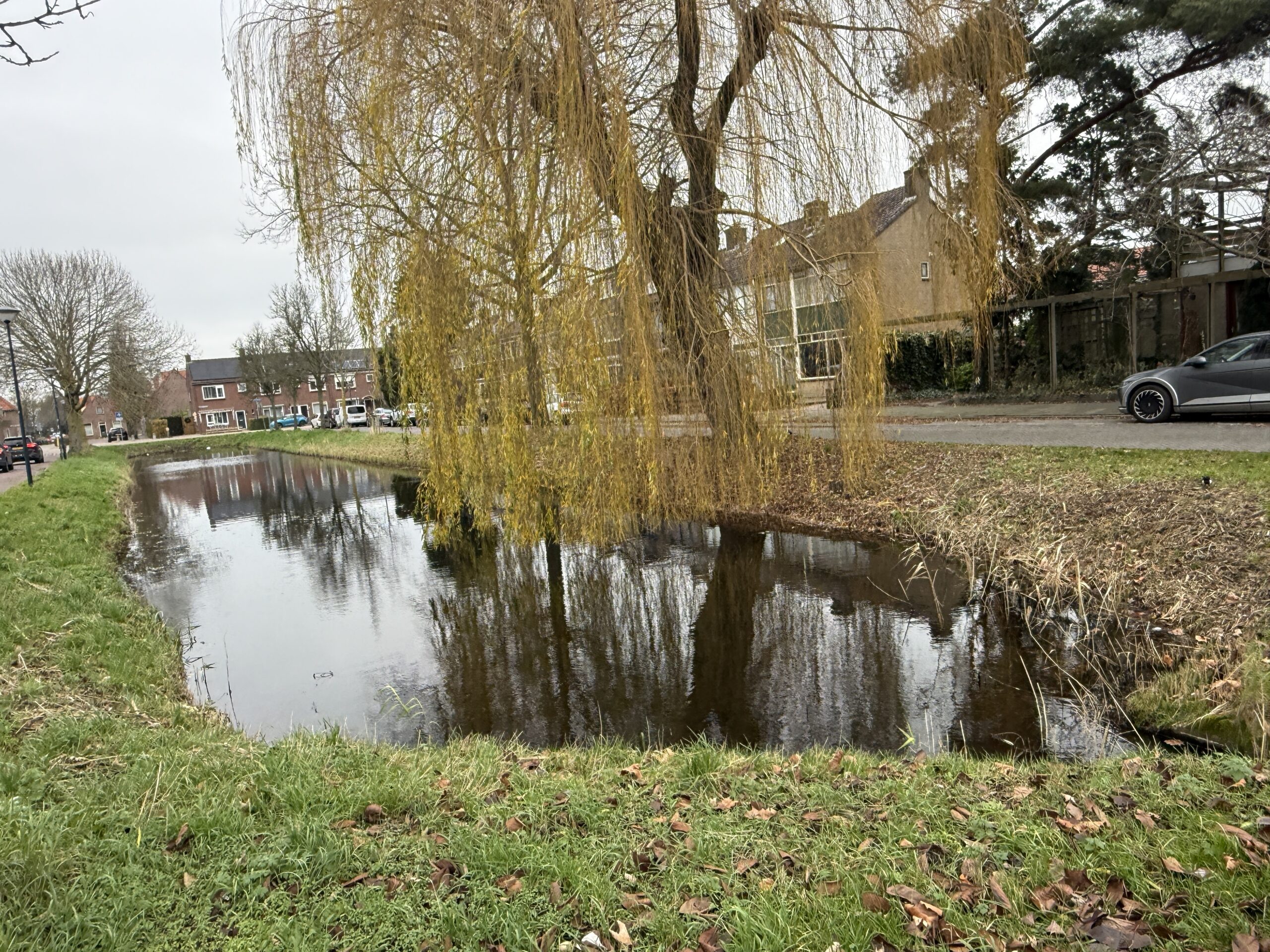 Vijver bij het Julianaplein in het Venenlaankwartier in Hoorn
