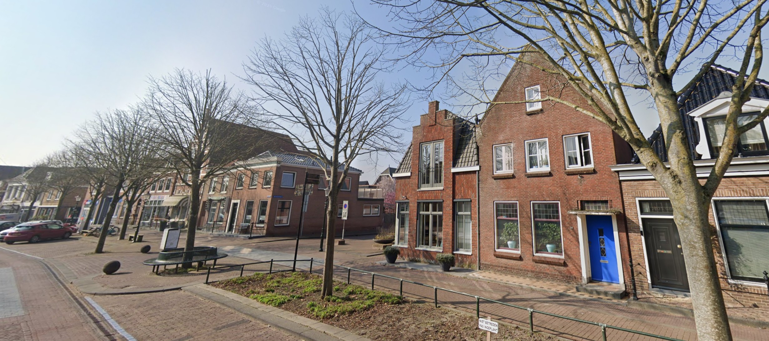 Zilver linde langs de weg, vergelijkbaar met de boom bij Nieuwstraat 14 in Medemblik