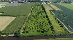 Ingang van Landgoed De Duinen in Zwaagdijk met weg en groen