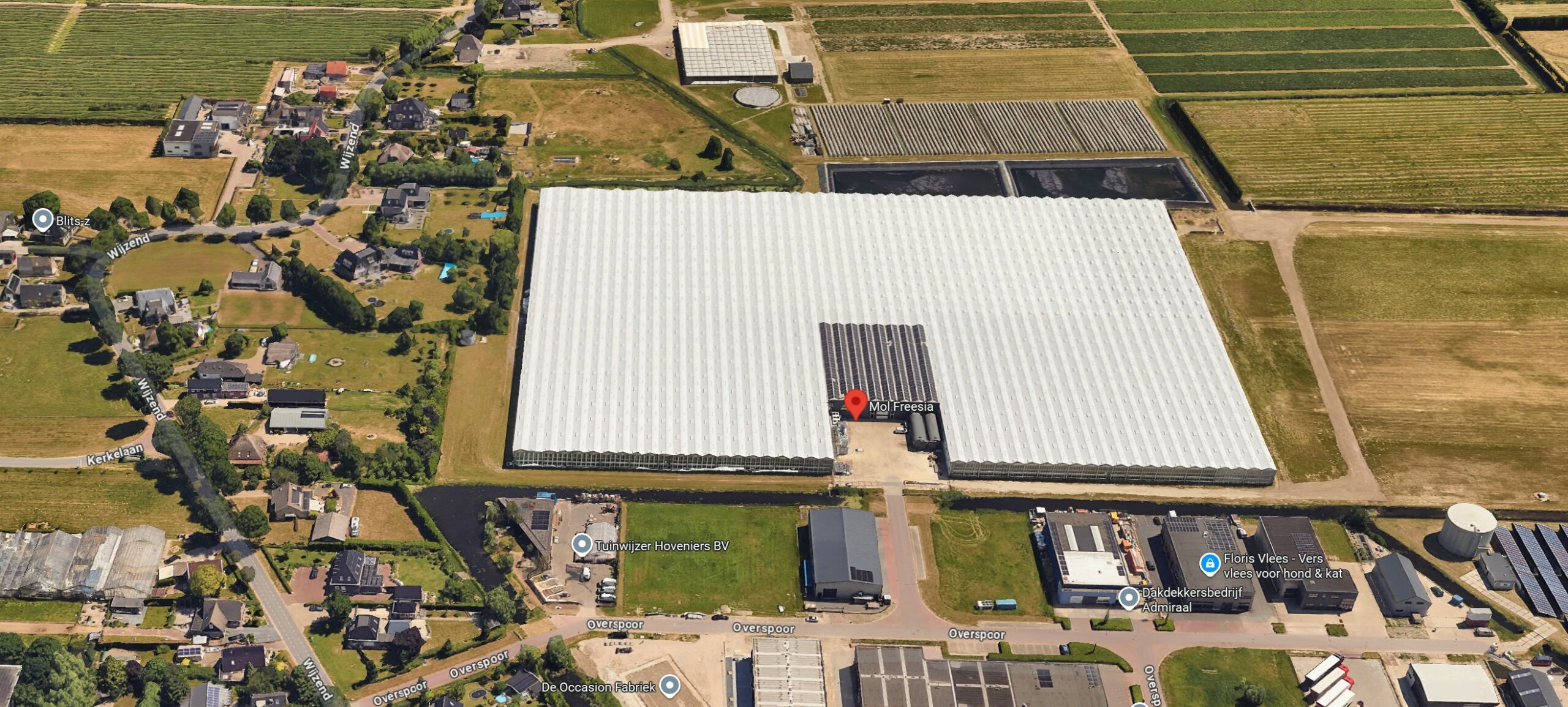 Bedrijf Mol Freesia maakt zich zorgen over gebiedsvisie Wognum-Nibbixwoud.