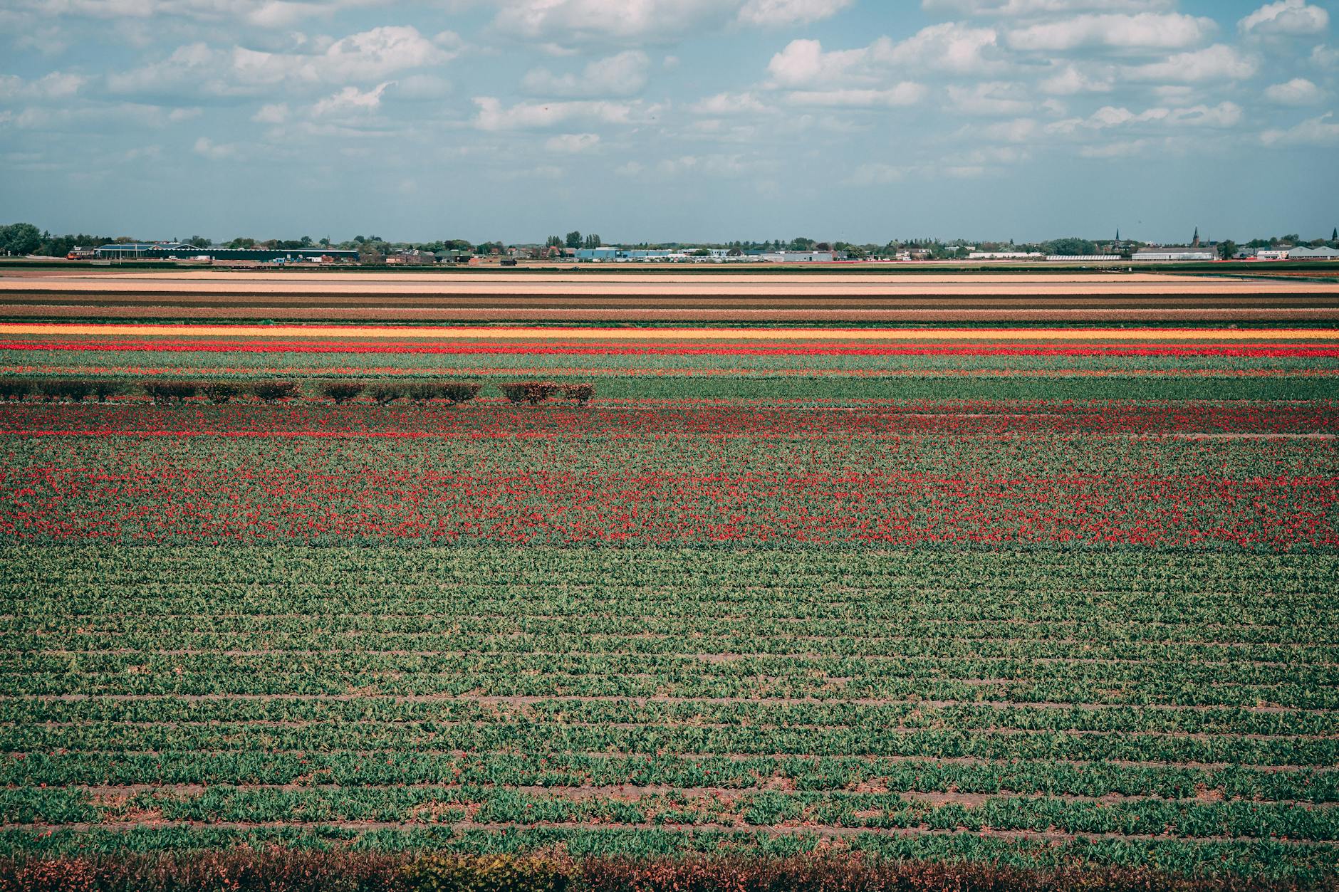 Vergadering gemeenteraad Stede Broec over toeristenbelasting 2026