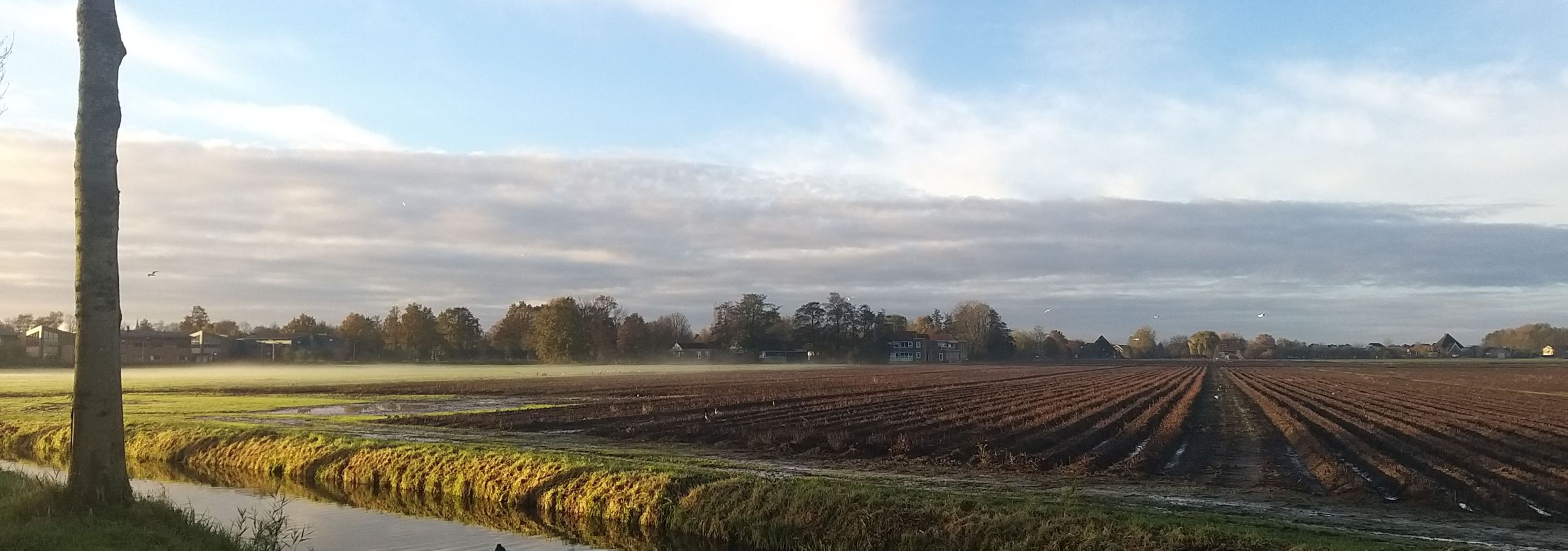 Gemeenteraad Medemblik bespreekt amendement goedkope koopwoningen Wognum Noord