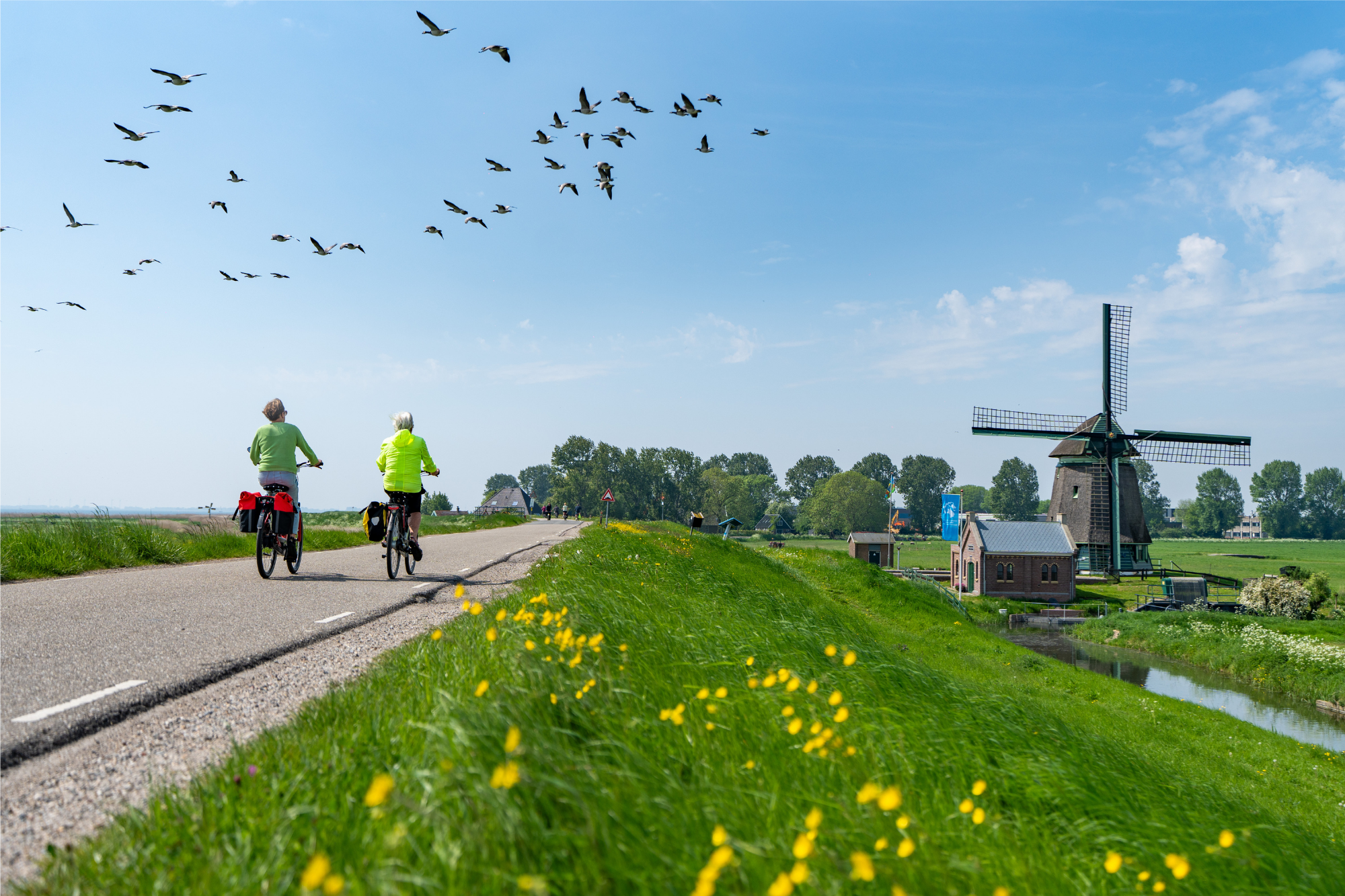 Deelnemers fietsen langs tulpenvelden en historische dorpen tijdens de Fiets4Daagse Hoorn.