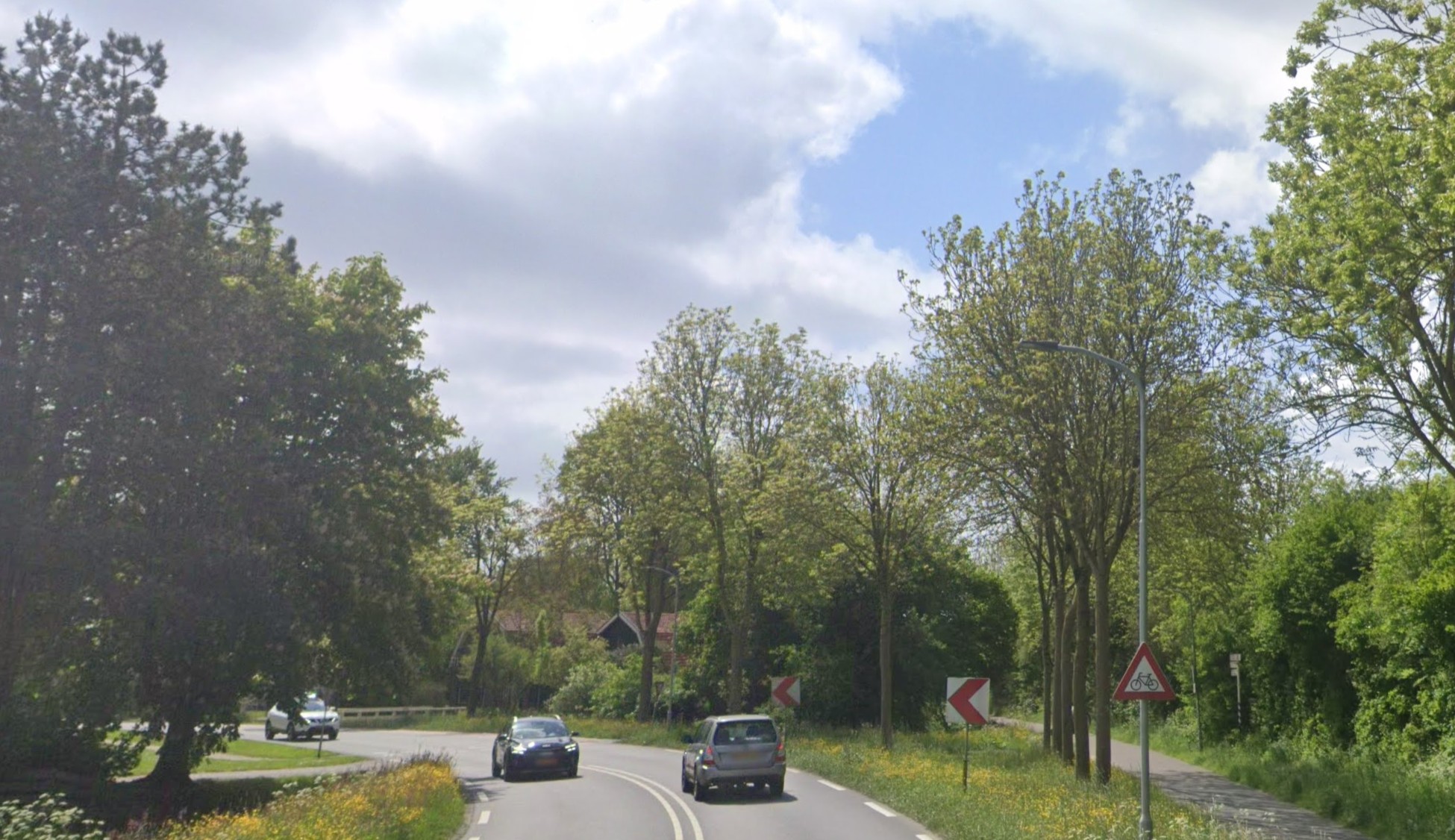 Medemblik wil 20 zieke Essen kappen langs de Hoornseweg Wognum