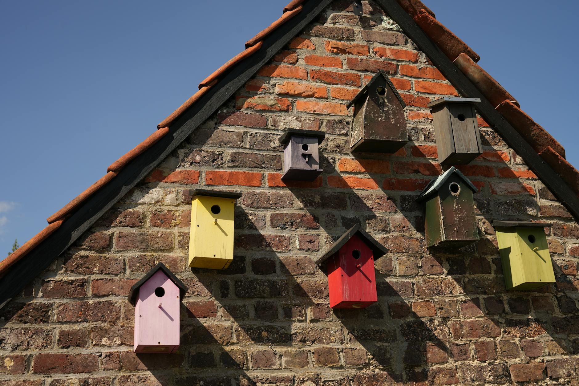 Raadslid Siem Zeilemaker stelt vragen over het toepassen van nestkastjes bij nieuwbouwprojecten in de gemeente Medemblik.
