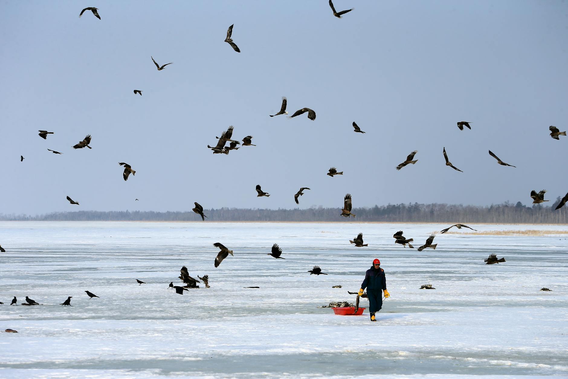 Kinderen en volwassenen maken vetbollen en pindaslingers als vogeltraktatie voor tuinvogels in de winter.