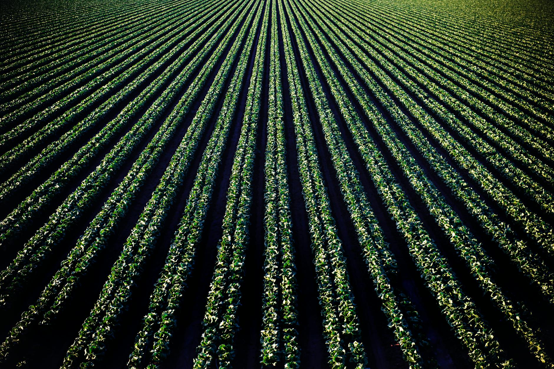 Agrarische gronden in Drechterland die eerder als natuurgebied zijn ingetekend binnen het NNN.