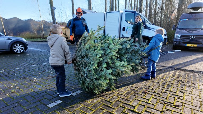 Ingezamelde kerstbomen tijdens de jaarlijkse kerstbomenactie in Drechterland.