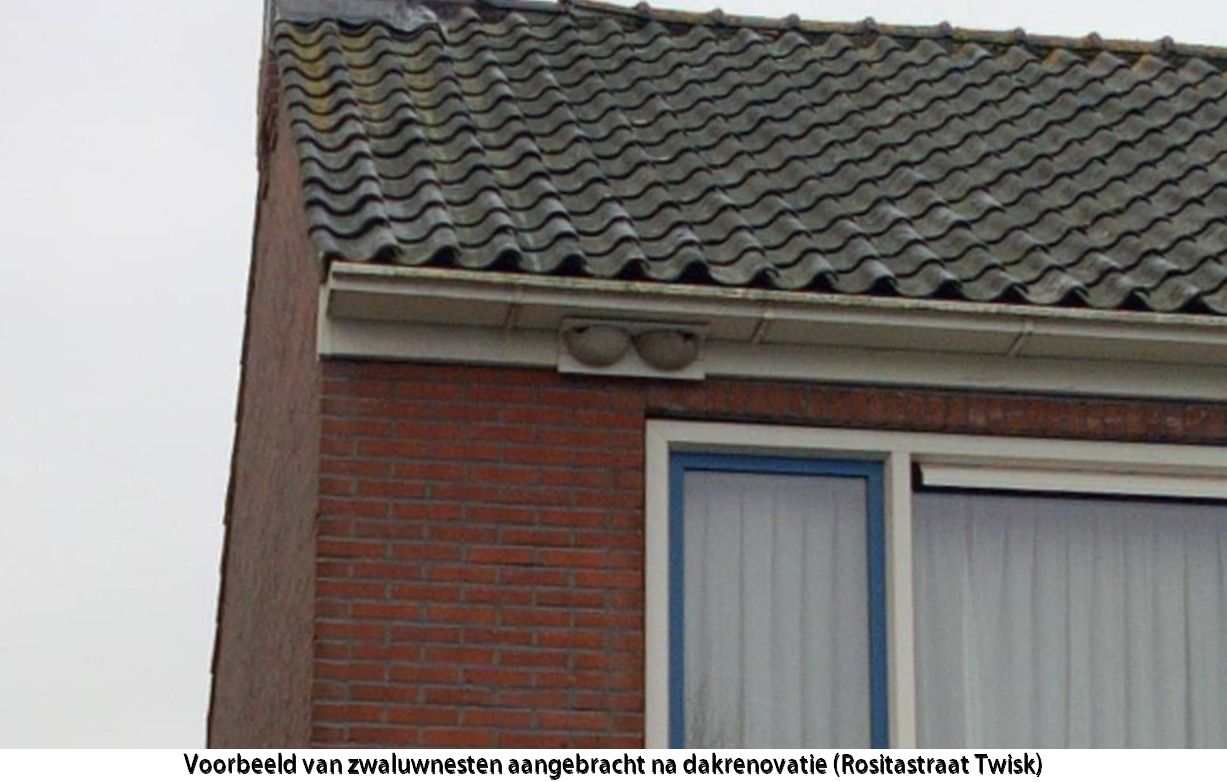 Ingemetselde nestkastjes en vleermuisvoorzieningen in de gevel van woningen bij renovatieprojecten.