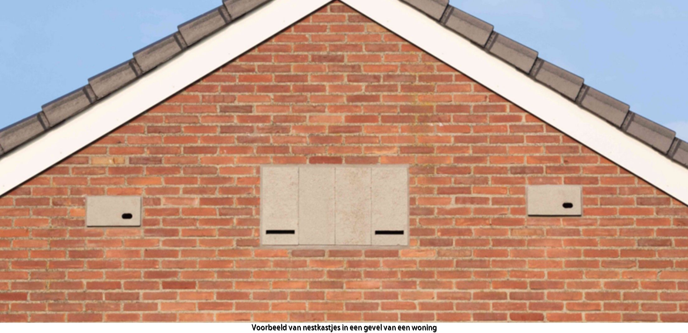 Vleermuis- en zwaluwkasten geplaatst in kopgevels van woningen in de Bloemenbuurt in Enkhuizen.