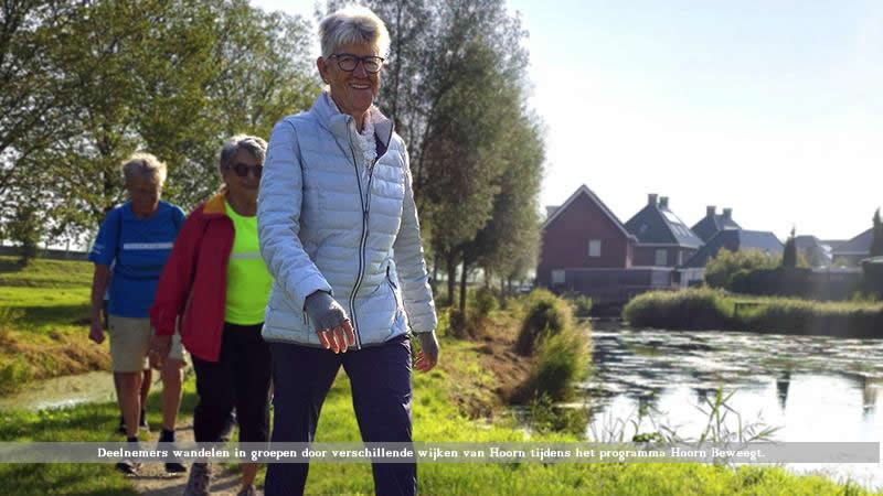 Deelnemers wandelen in groepen door verschillende wijken van Hoorn tijdens het programma Hoorn Beweegt.