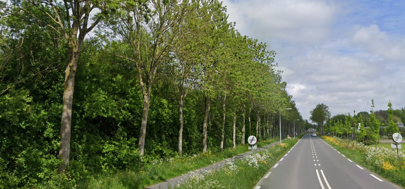 Locatie in Wognum waar 20 zieke essen worden gekapt