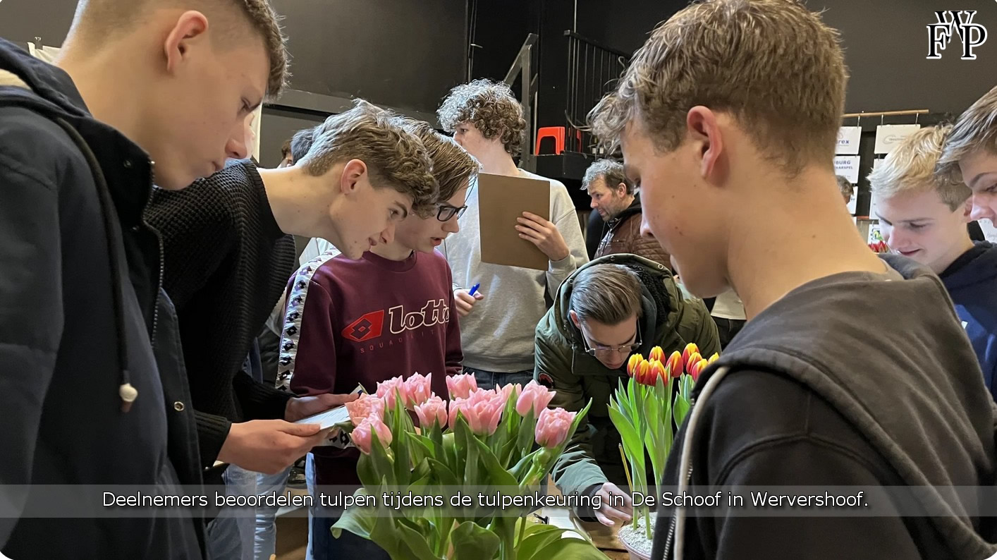 Deelnemers beoordelen tulpen tijdens de tulpenkeuring in De Schoof in Wervershoof.