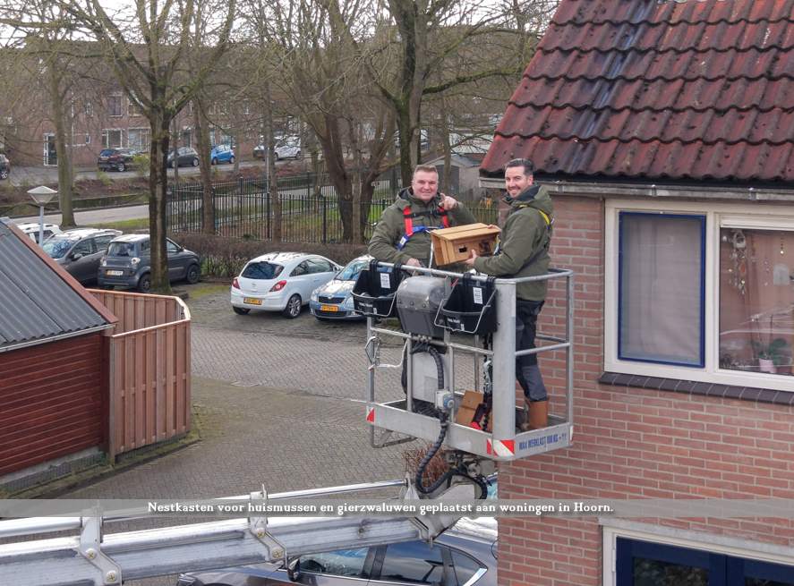 Nestkasten voor huismussen en gierzwaluwen geplaatst aan woningen in Hoorn.