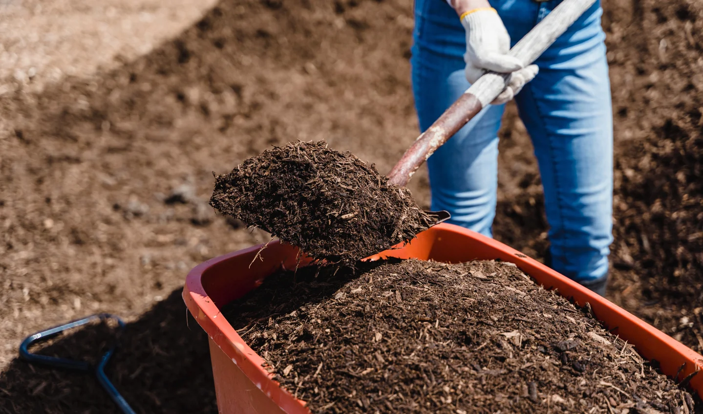 Compost wordt in een aanhanger geladen tijdens de jaarlijkse compostactie voor inwoners van Koggenland.
