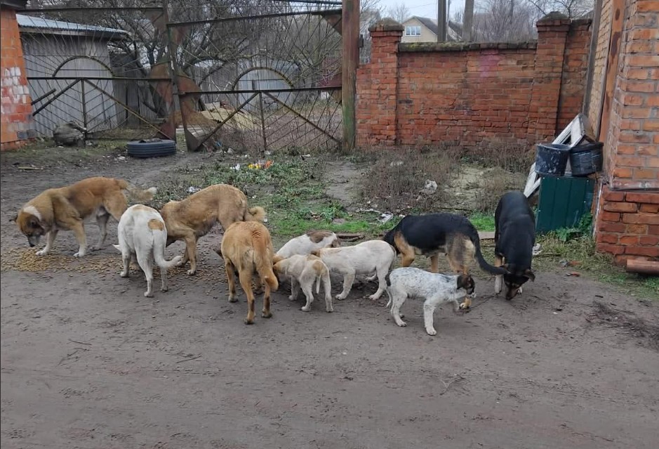 Bezoekers struinen langs kleding en brocante tijdens de Lentemarkt in de Bonifaciuskerk in Medemblik