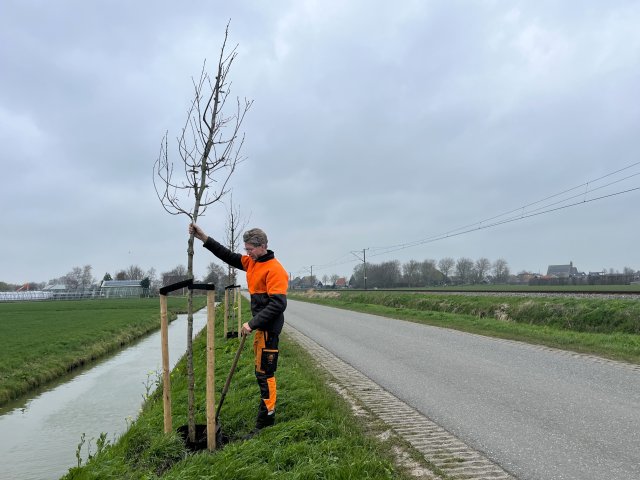 Koggenland plant ruim 300 bomen voor groener landschap