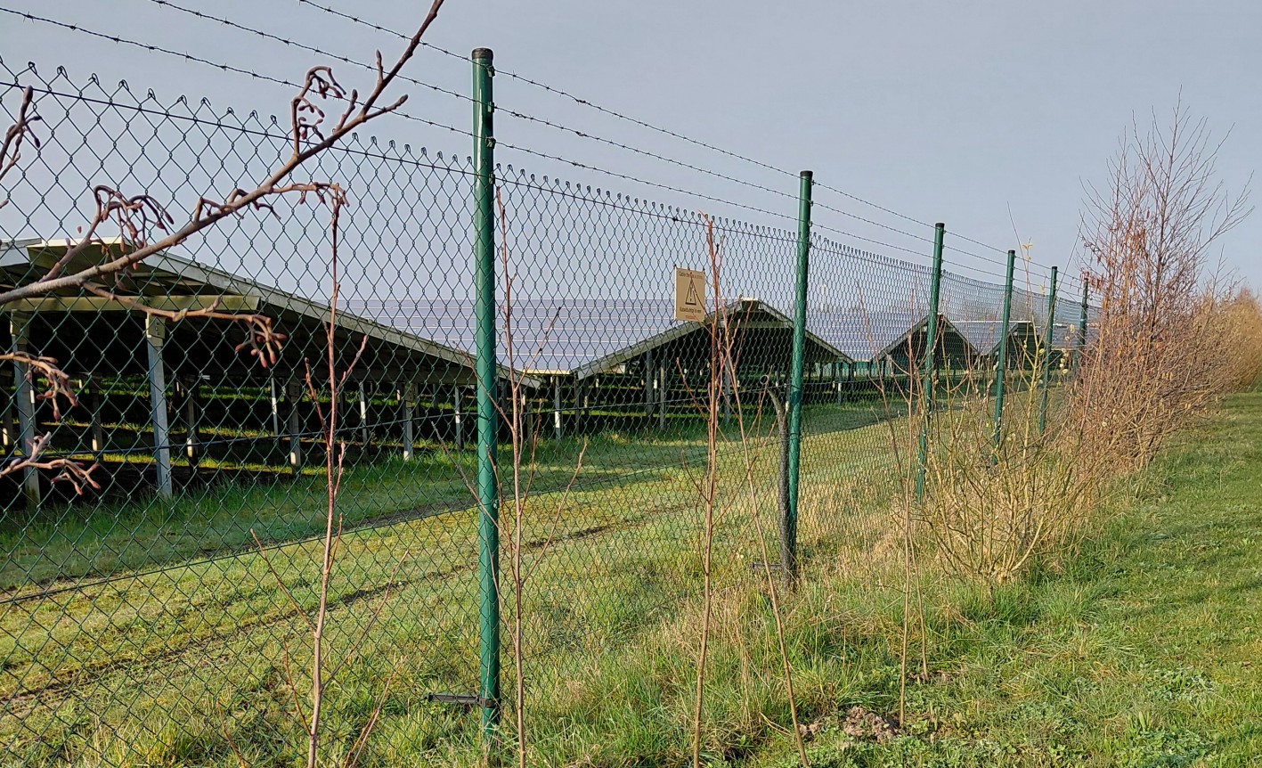 Nieuwe bomen rond zonnepark in Andijk-Zuid