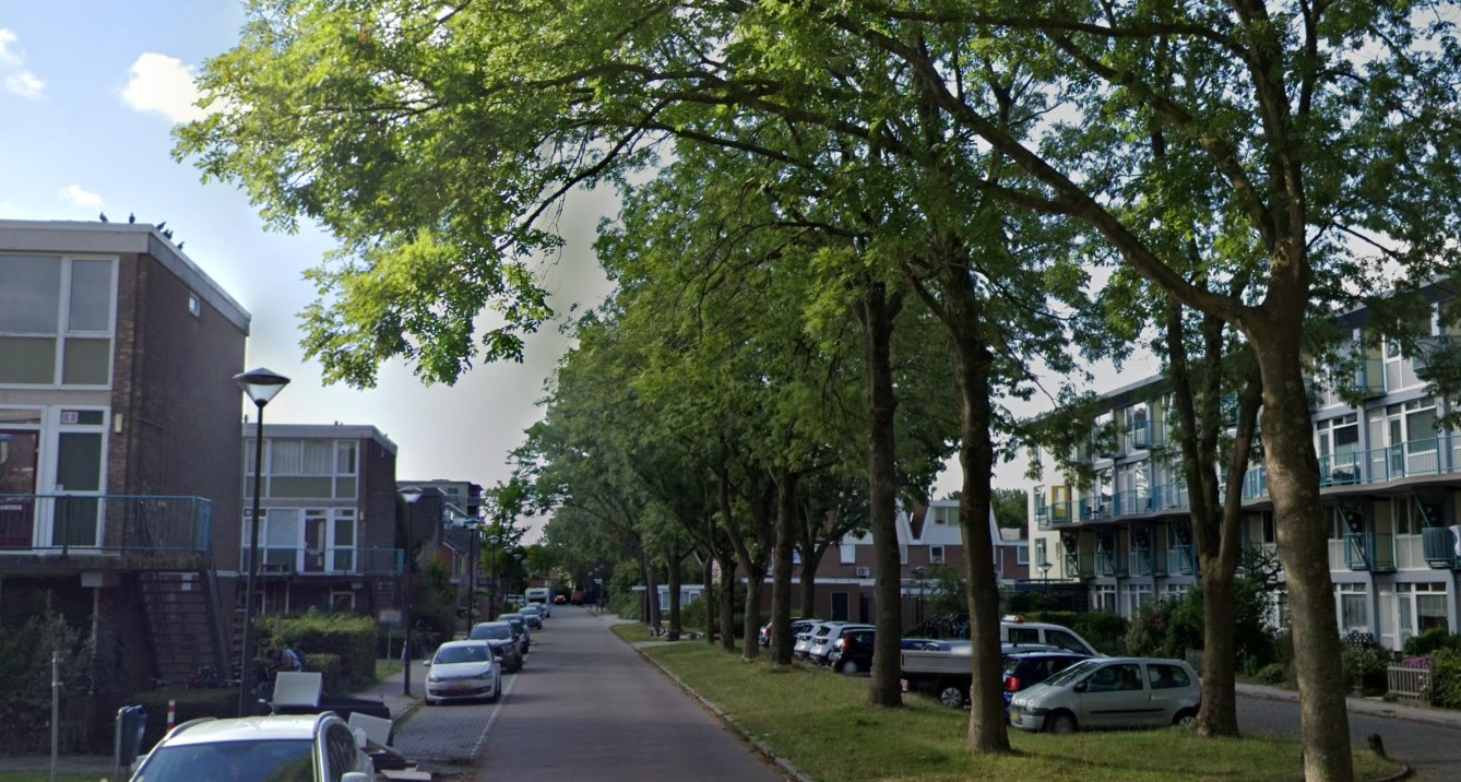 Hoorn wil 23 bomen kappen in Sint Jozefstraat