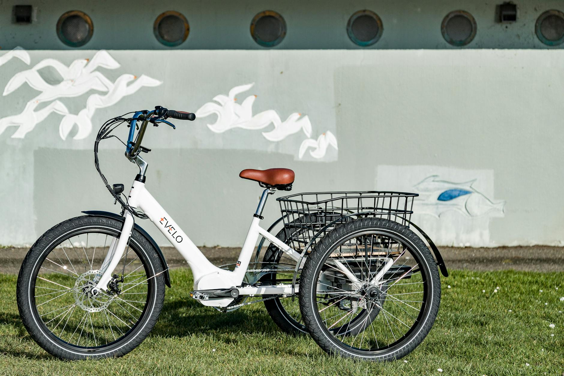 Afwijzingen driewielfiets Wmo Enkhuizen, SP wil opheldering