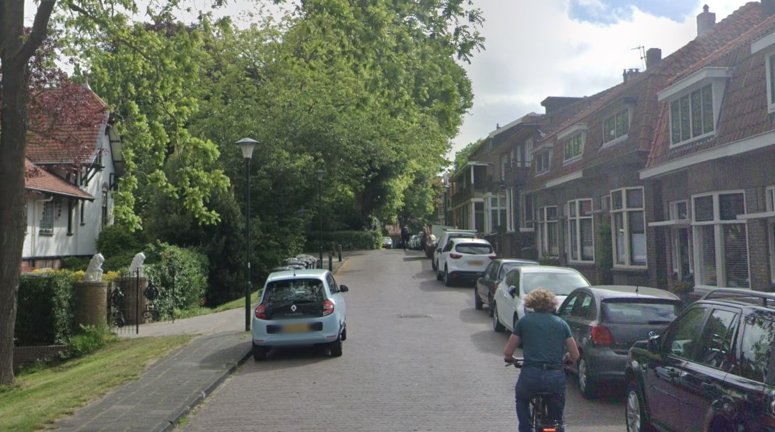 Bewoners Parklaan Enkhuizen willen maatregelen tegen hardrijders